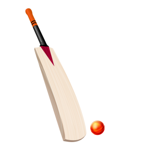 Cricket bat PNG-76707